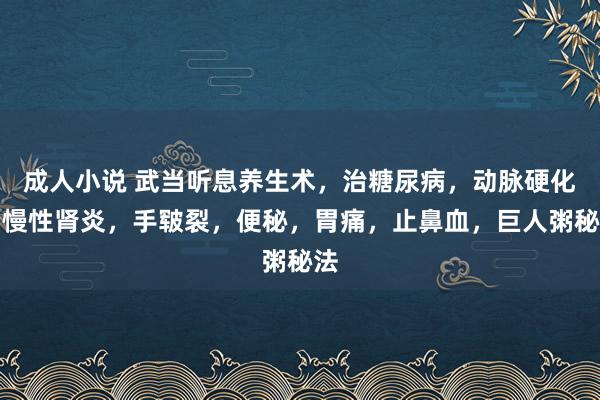 成人小说 武当听息养生术，治糖尿病，动脉硬化，慢性肾炎，手皲裂，便秘，胃痛，止鼻血，巨人粥秘法