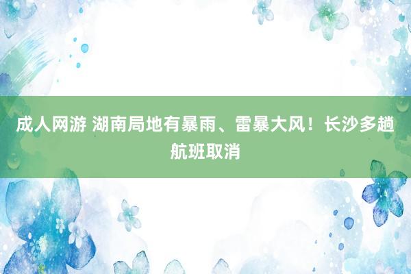 成人网游 湖南局地有暴雨、雷暴大风！长沙多趟航班取消