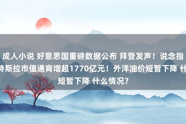 成人小说 好意思国重磅数据公布 拜登发声！说念指翻新高 特斯拉市值通宵增超1770亿元！外洋油价短暂下降 什么情况？