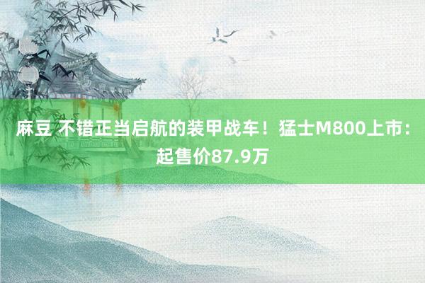 麻豆 不错正当启航的装甲战车！猛士M800上市：起售价87.9万