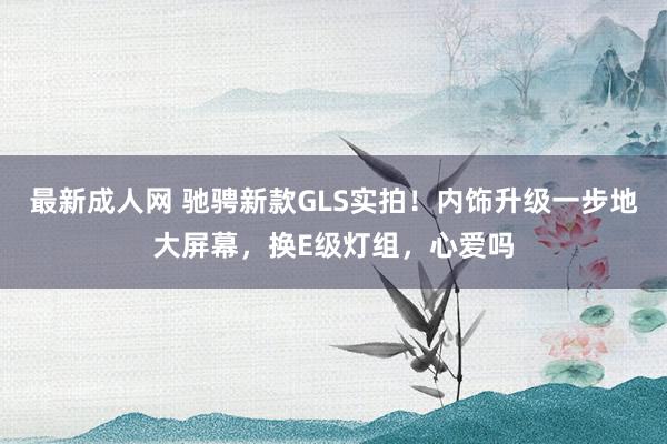 最新成人网 驰骋新款GLS实拍！内饰升级一步地大屏幕，换E级灯组，心爱吗