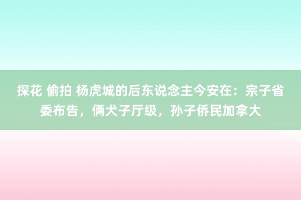 探花 偷拍 杨虎城的后东说念主今安在：宗子省委布告，俩犬子厅级，孙子侨民加拿大