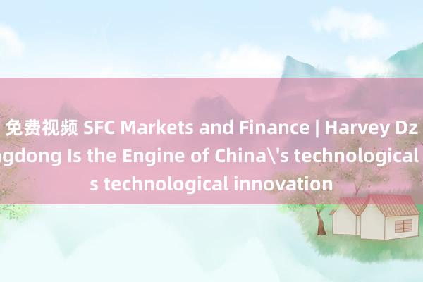 免费视频 SFC Markets and Finance | Harvey Dzodin: Guangdong Is the Engine of China's technological innovation