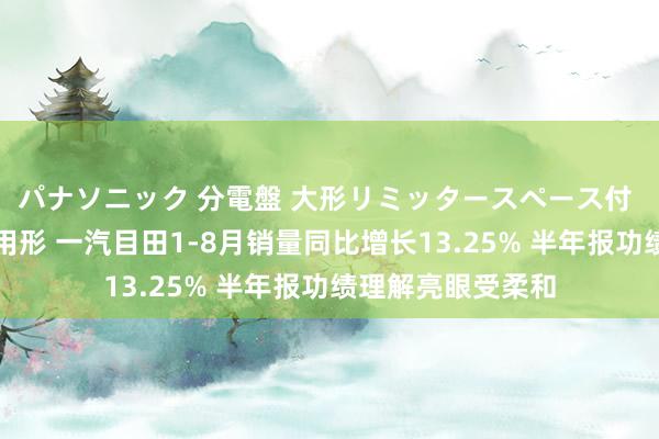 パナソニック 分電盤 大形リミッタースペース付 露出・半埋込両用形 一汽目田1-8月销量同比增长13.25% 半年报功绩理解亮眼受柔和