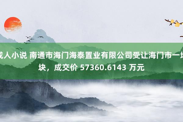 成人小说 南通市海门海泰置业有限公司受让海门市一地块，成交价 57360.6143 万元