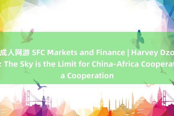 成人网游 SFC Markets and Finance | Harvey Dzodin: The Sky is the Limit for China-Africa Cooperation