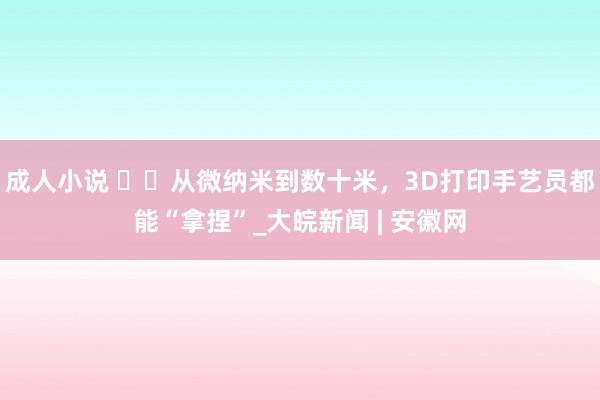 成人小说 ‍‍从微纳米到数十米，3D打印手艺员都能“拿捏”_大皖新闻 | 安徽网