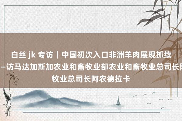 白丝 jk 专访｜中国初次入口非洲羊肉展现抓续敞开赤忱——访马达加斯加农业和畜牧业部农业和畜牧业总司长阿农德拉卡