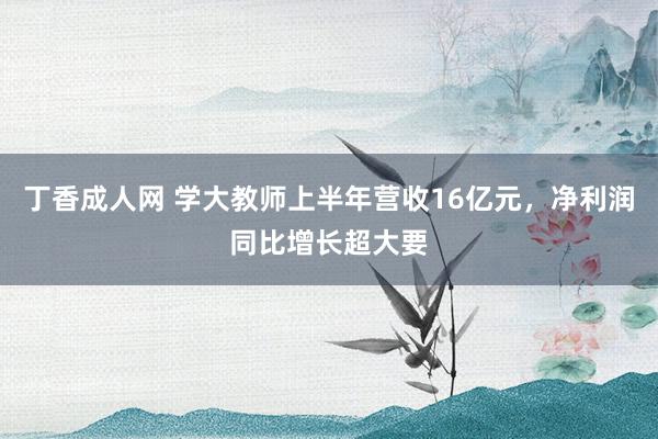 丁香成人网 学大教师上半年营收16亿元，净利润同比增长超大要