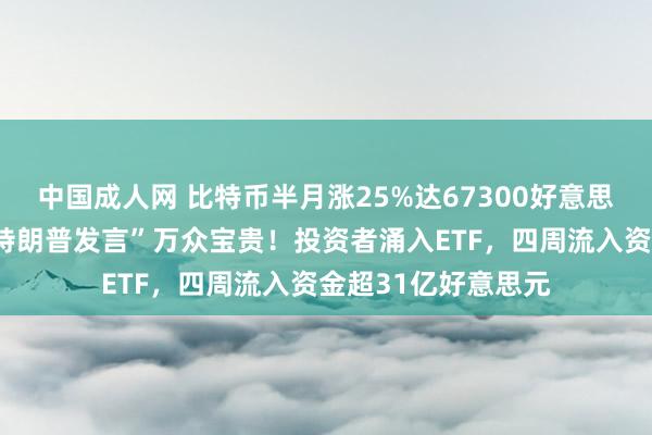 中国成人网 比特币半月涨25%达67300好意思元，比特币嘉会“特朗普发言”万众宝贵！投资者涌入ETF，四周流入资金超31亿好意思元