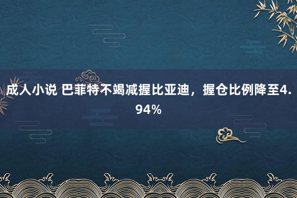 成人小说 巴菲特不竭减握比亚迪，握仓比例降至4.94%