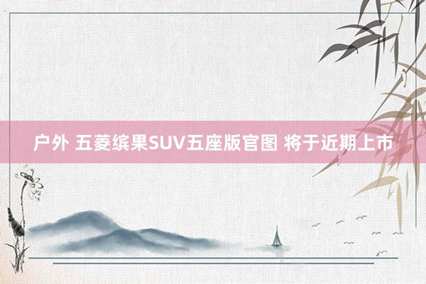 户外 五菱缤果SUV五座版官图 将于近期上市