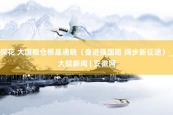 探花 大国粮仓根基通晓（奋进强国路 阔步新征途）_大皖新闻 | 安徽网