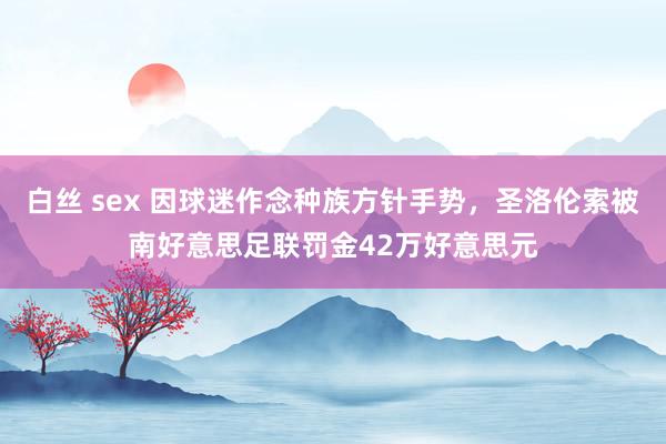 白丝 sex 因球迷作念种族方针手势，圣洛伦索被南好意思足联罚金42万好意思元