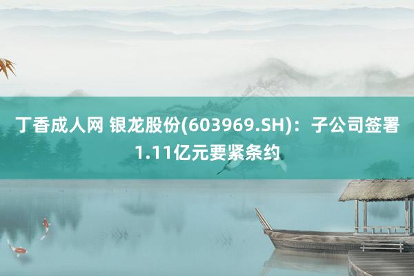 丁香成人网 银龙股份(603969.SH)：子公司签署1.11亿元要紧条约