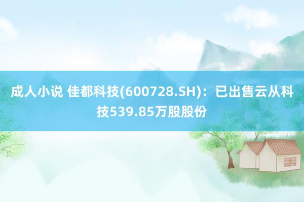 成人小说 佳都科技(600728.SH)：已出售云从科技539.85万股股份