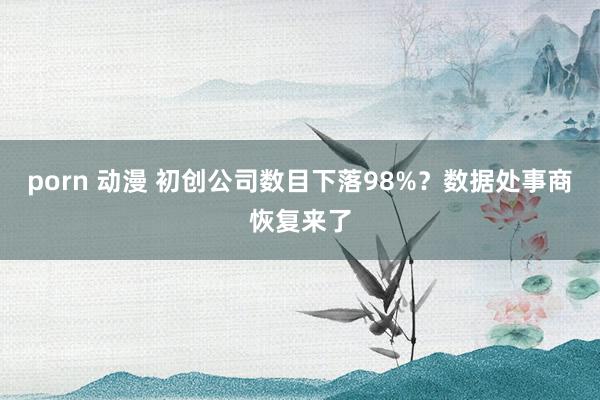 porn 动漫 初创公司数目下落98%？数据处事商恢复来了