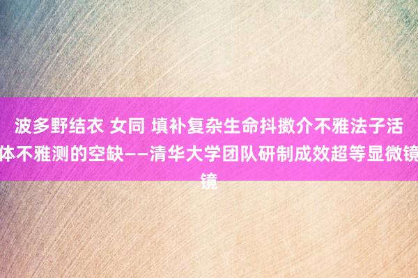 波多野结衣 女同 填补复杂生命抖擞介不雅法子活体不雅测的空缺——清华大学团队研制成效超等显微镜