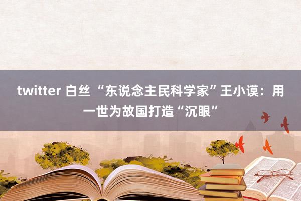 twitter 白丝 “东说念主民科学家”王小谟：用一世为故国打造“沉眼”