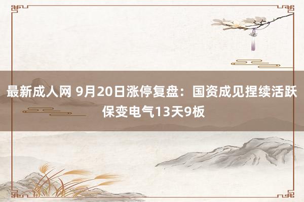 最新成人网 9月20日涨停复盘：国资成见捏续活跃 保变电气13天9板