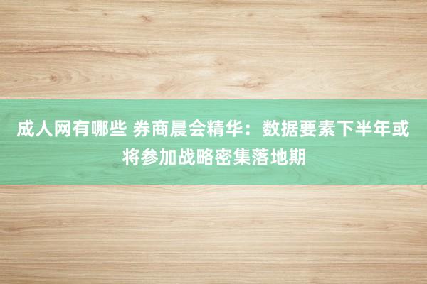 成人网有哪些 券商晨会精华：数据要素下半年或将参加战略密集落地期