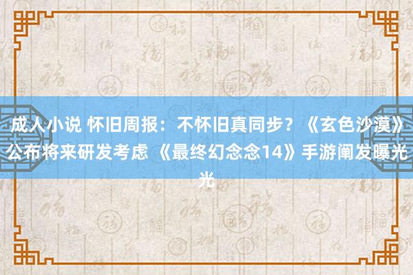 成人小说 怀旧周报：不怀旧真同步？《玄色沙漠》公布将来研发考虑 《最终幻念念14》手游阐发曝光