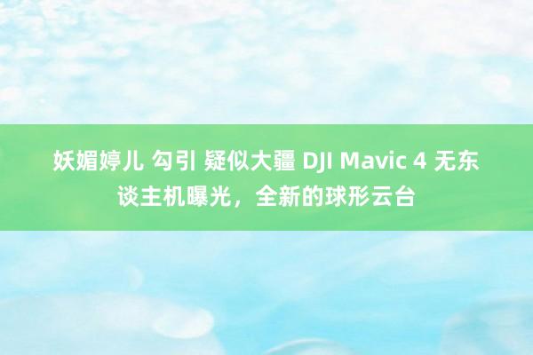 妖媚婷儿 勾引 疑似大疆 DJI Mavic 4 无东谈主机曝光，全新的球形云台