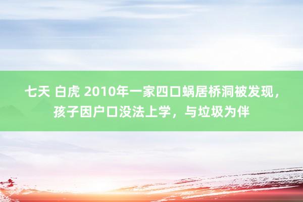 七天 白虎 2010年一家四口蜗居桥洞被发现，孩子因户口没法上学，与垃圾为伴