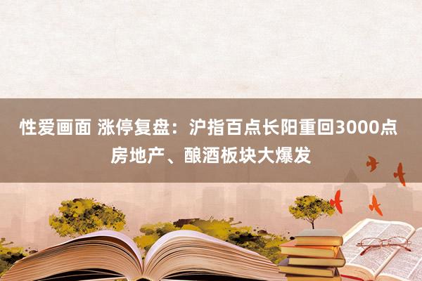 性爱画面 涨停复盘：沪指百点长阳重回3000点 房地产、酿酒板块大爆发