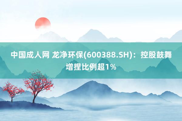 中国成人网 龙净环保(600388.SH)：控股鼓舞增捏比例超1%