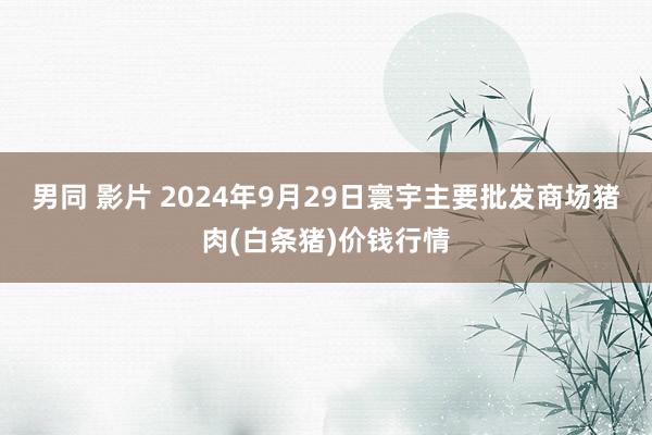 男同 影片 2024年9月29日寰宇主要批发商场猪肉(白条猪)价钱行情