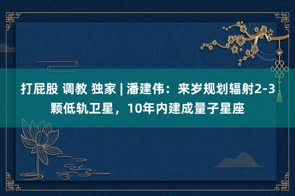 打屁股 调教 独家 | 潘建伟：来岁规划辐射2-3颗低轨卫星，10年内建成量子星座