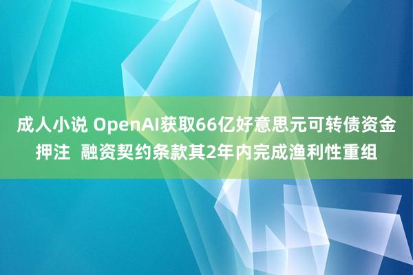 成人小说 OpenAI获取66亿好意思元可转债资金押注  融资契约条款其2年内完成渔利性重组