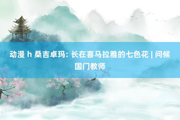 动漫 h 桑吉卓玛: 长在喜马拉雅的七色花 | 问候国门教师