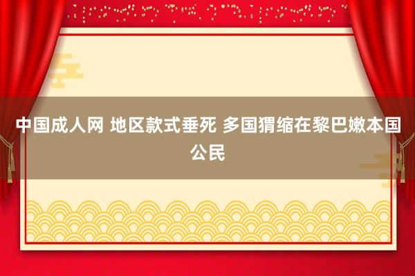 中国成人网 地区款式垂死 多国猬缩在黎巴嫩本国公民