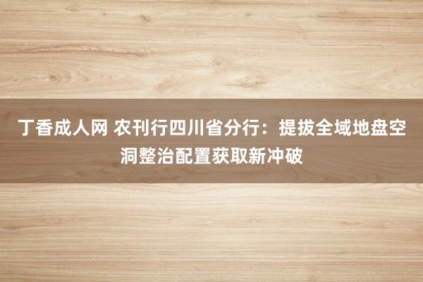 丁香成人网 农刊行四川省分行：提拔全域地盘空洞整治配置获取新冲破