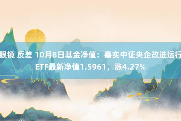 眼镜 反差 10月8日基金净值：嘉实中证央企改进运行ETF最新净值1.5961，涨4.27%