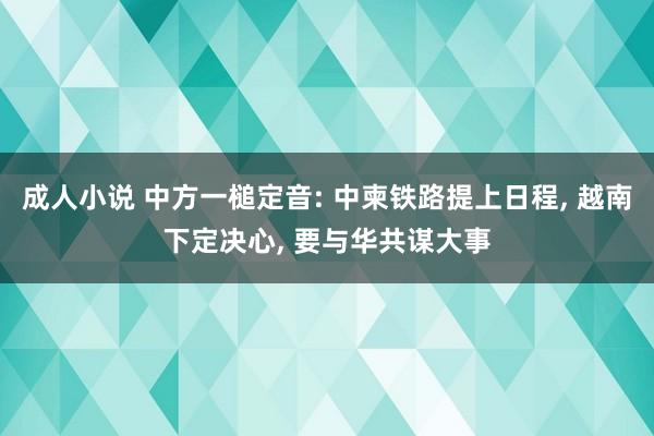 成人小说 中方一槌定音: 中柬铁路提上日程， 越南下定决心， 要与华共谋大事