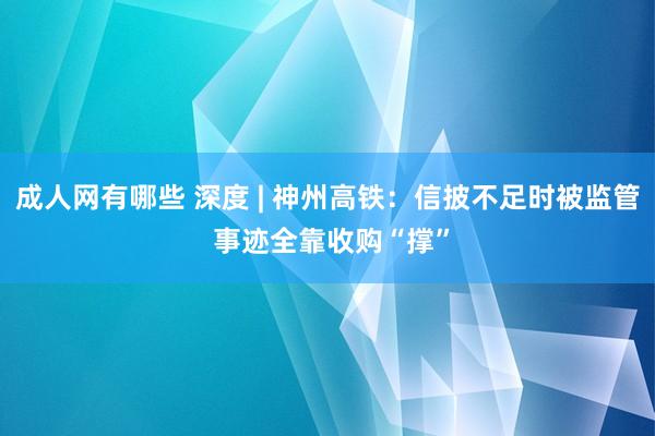 成人网有哪些 深度 | 神州高铁：信披不足时被监管 事迹全靠收购“撑”