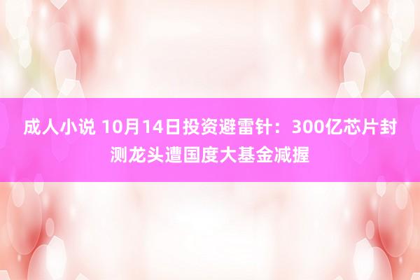 成人小说 10月14日投资避雷针：300亿芯片封测龙头遭国度大基金减握