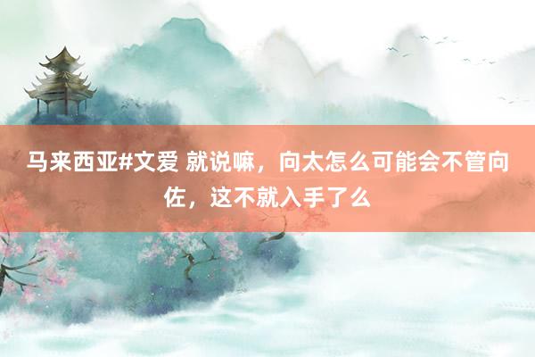 马来西亚#文爱 就说嘛，向太怎么可能会不管向佐，这不就入手了么