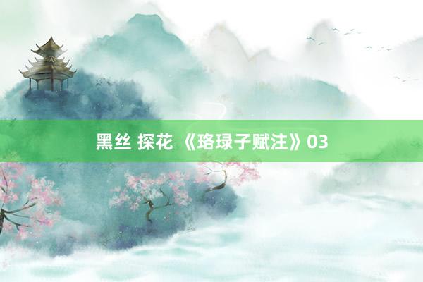 黑丝 探花 《珞琭子赋注》03