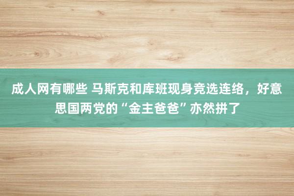 成人网有哪些 马斯克和库班现身竞选连络，好意思国两党的“金主爸爸”亦然拼了