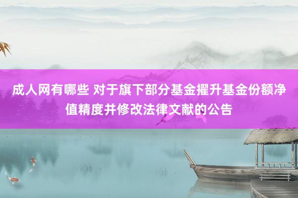 成人网有哪些 对于旗下部分基金擢升基金份额净值精度并修改法律文献的公告