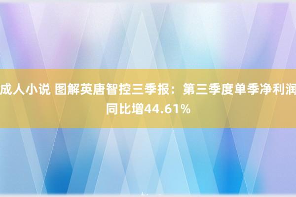 成人小说 图解英唐智控三季报：第三季度单季净利润同比增44.61%