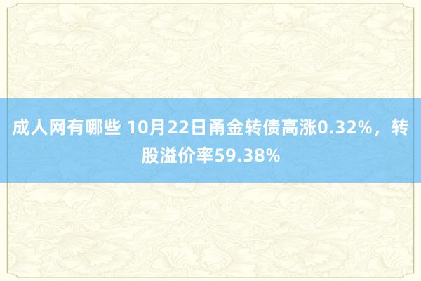 成人网有哪些 10月22日甬金转债高涨0.32%，转股溢价率59.38%