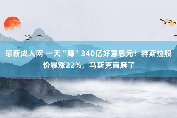 最新成人网 一天“赚”340亿好意思元！特斯拉股价暴涨22%，马斯克赢麻了