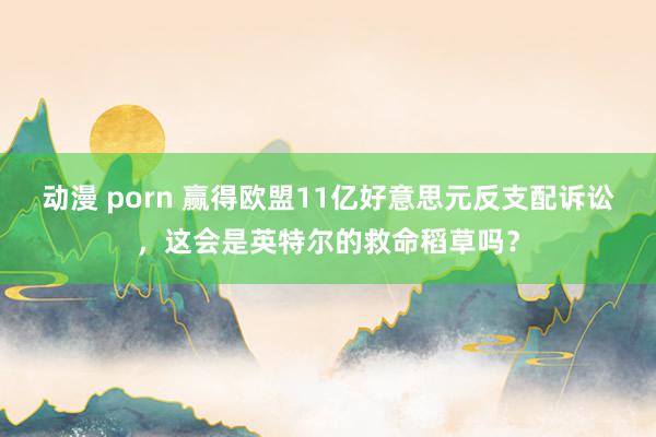 动漫 porn 赢得欧盟11亿好意思元反支配诉讼，这会是英特尔的救命稻草吗？