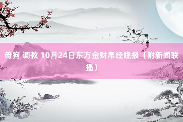 母狗 调教 10月24日东方金财帛经晚报（附新闻联播）