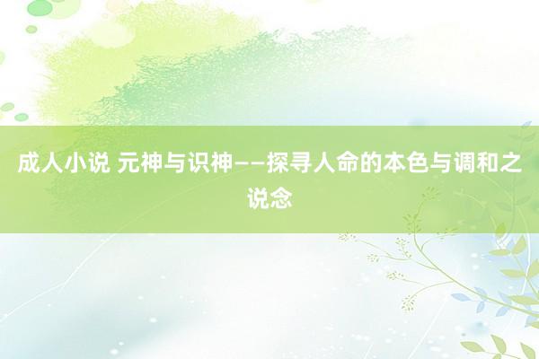 成人小说 元神与识神——探寻人命的本色与调和之说念